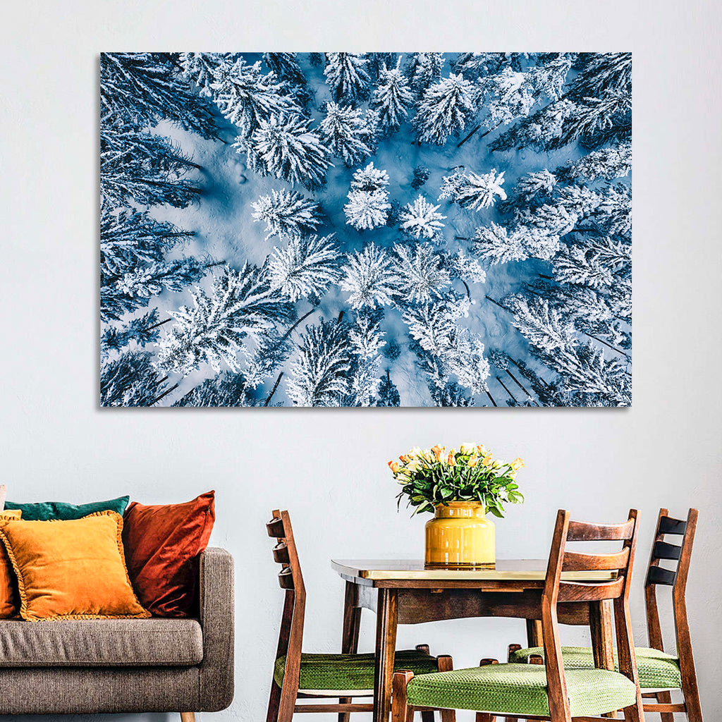 Aerial Snowy Evergreen Canopy Wall Art