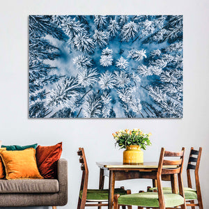 Aerial Snowy Forest Wall Art