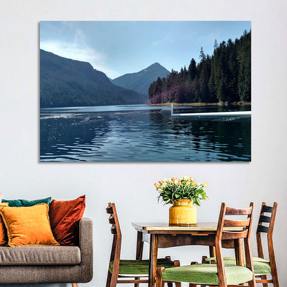 Tongass National Forest Seaplane View Wall Art