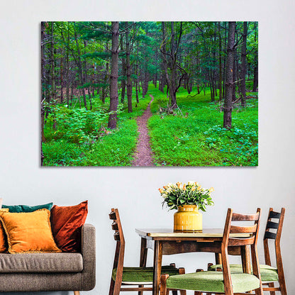 Lush Virginia Forest Trail Wall Art