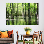 Sunlit Swamp Forest Wall Art
