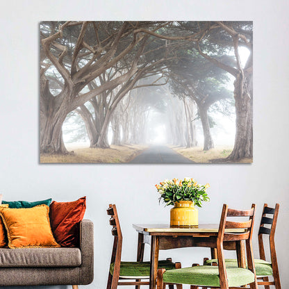 Misty Cypress Tunnel Wall Art