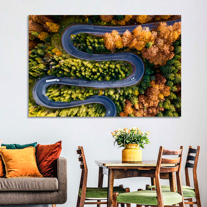 Serpentine Forest Road Wall Art