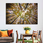 Autumn Forest Canopy Looking Up Wall Art