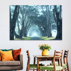 Foggy Cypress Tree Tunnel Wall Art