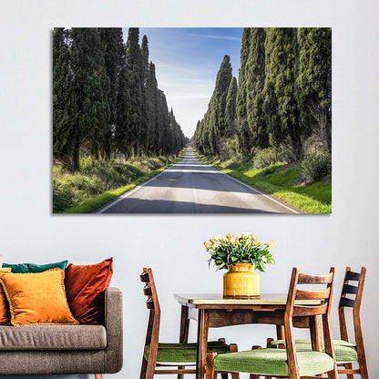 Cypress Trees Avenue Wall Art