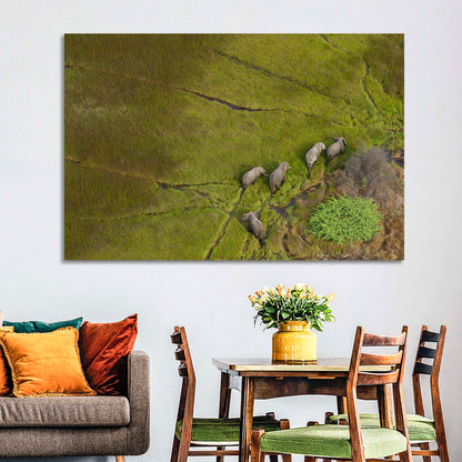 Aerial Herd of Elephants Wall Art
