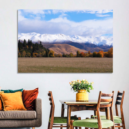 Ben Ohau Mountain Meadow Wall Art