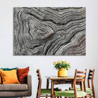 Tree Growth Rings Wall Art