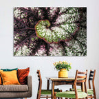 Begonia Leaf Spiral Geometry Wall Art
