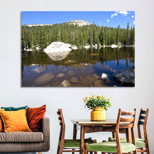 Colorado Forest Lake Wall Art