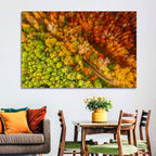 Winding Road Through Autumn Forest Wall Art