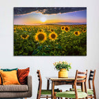 Sunflower Field at Golden Hour Wall Art