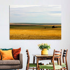 Lone Barn, Montana Farmland Wall Art