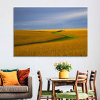 Golden Hour Soybean Field Wall Art