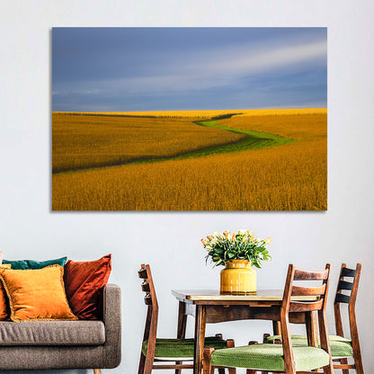 Golden Hour Soybean Field Wall Art