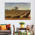 Rustic Provence Lavender Rows at Golden Hour Wall Art