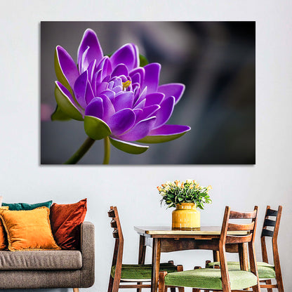 Purple Water Lily Close-up Wall Art
