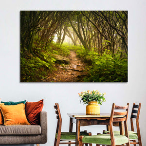 Craggy Gardens Hiking Trail Wall Art