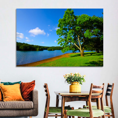 Lake Ippeki Solitary Tree Wall Art