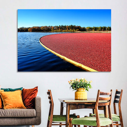 Flooded Cranberry Bog Wall Art