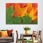 Autumn Maple Leaves Wall Art