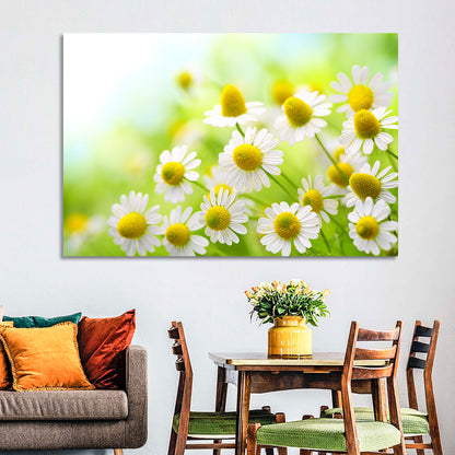 Chamomile Close-up Wall Art