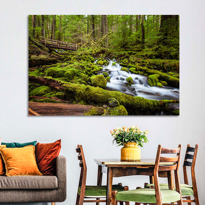 Mossy Cascade Forest Stream Wall Art
