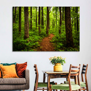 Shenandoah National Park Trail Wall Art