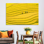 Golden Rice Terraces with Umbrellas Wall Art