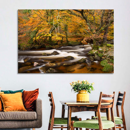 Dartmoor Autumn River in Golden Forest Wall Art