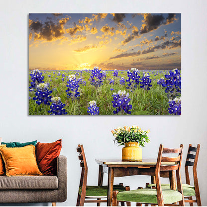 Bluebonnet Field at Sunset Wall Art
