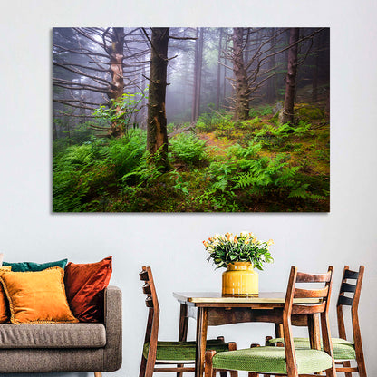 Misty Spruce-fir Trail Wall Art