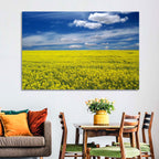 Sunlit Canola Field Wall Art