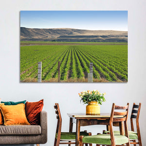 Idaho Corn Field Wall Art