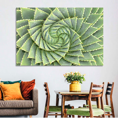 Spiral Aloe Close-up Wall Art