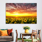 Golden Hour Sunflower Field Wall Art
