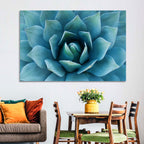 Spiral Agave Macro Wall Art