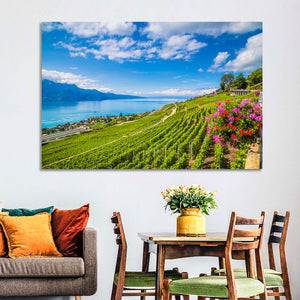 Lavaux Wine Region Wall Art