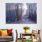 Frosted Forest Path at Dawn Wall Art