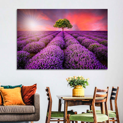 Sunset Over Lavender Fields Wall Art