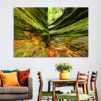 Turkey Run State Park Canyon Wall Art