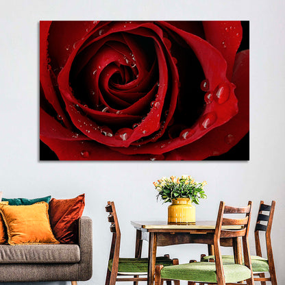 Red Rose with Dew Drops Wall Art