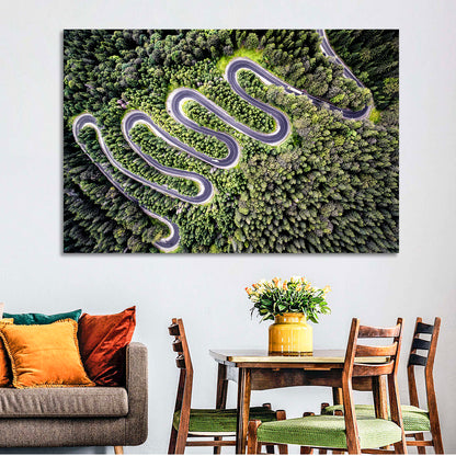 Serpentine Mountain Road Wall Art