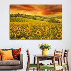 Sunflower Field at Golden Hour Wall Art