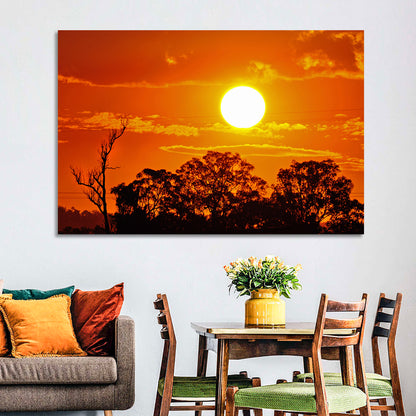 Burning Sun Over Tree Silhouettes Wall Art