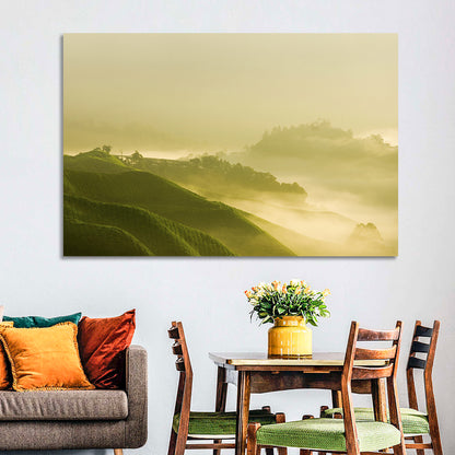 Tea Plantation Morning Mist Wall Art