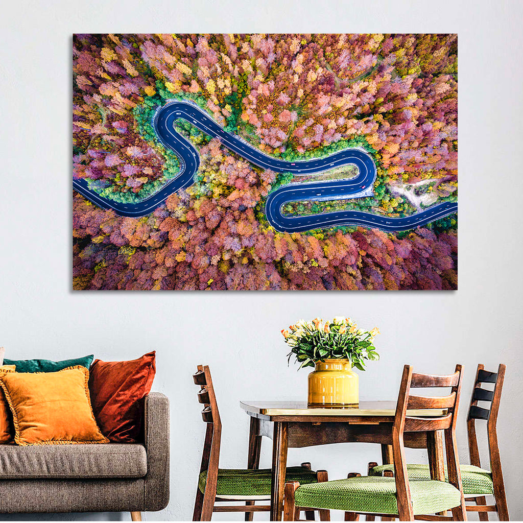 Aerial Winding Road Wall Art