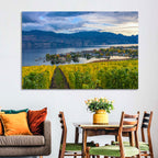 Okanagan Lake Vineyard, Kelowna Wall Art