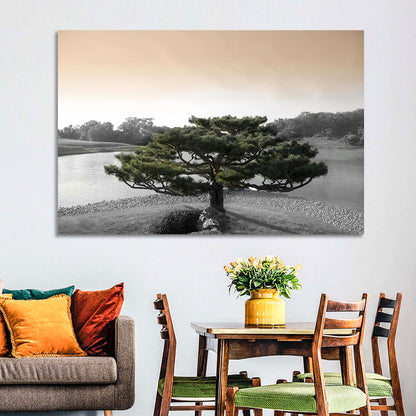 Bonsai Pine in Japanese Garden Wall Art